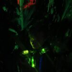 IMG_20191212_103140