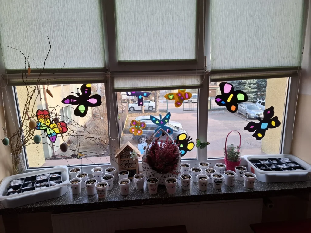 rzezucha2a 8
