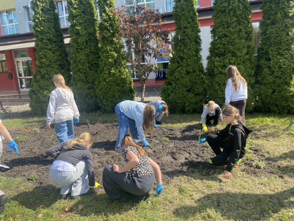 dzien niezapominajki3c 2