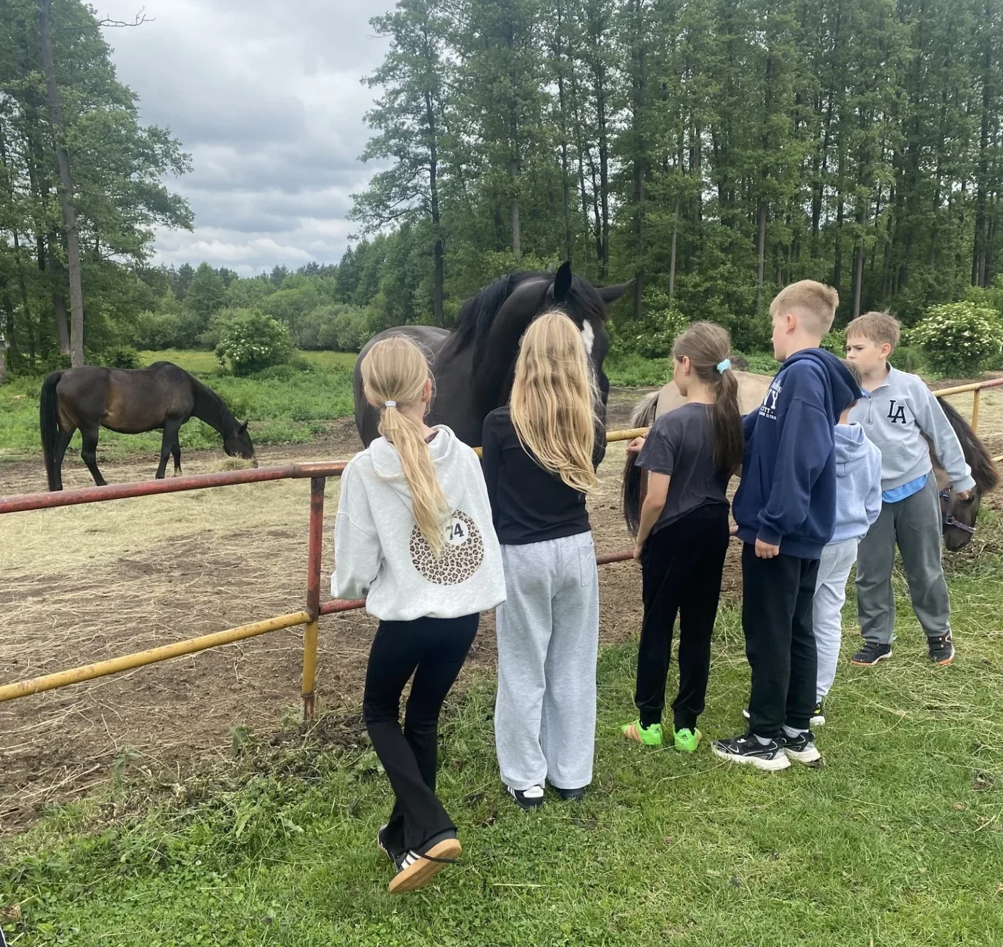 wycieczka3cstadnina koni mustang2026 5